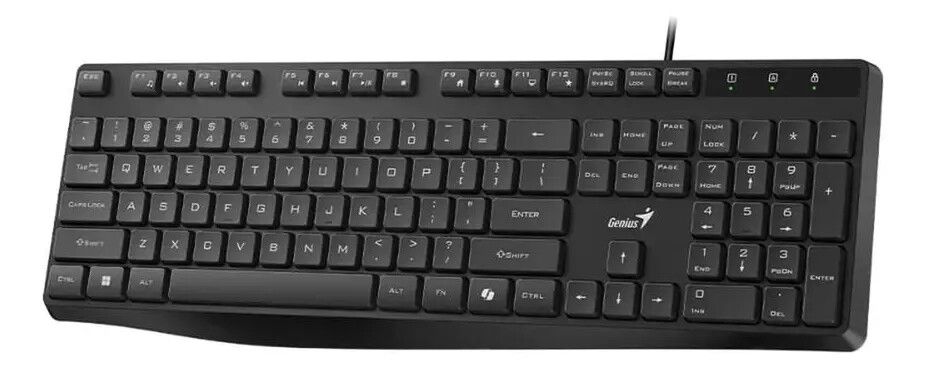 teclado genius kb 117s usb black